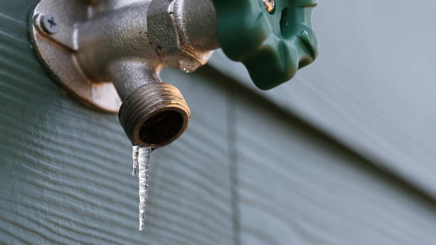 Best Plumbing Services Near Me  in Ashford, AL